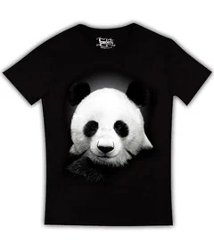 панда, медведь